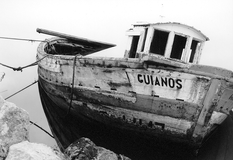 Cuianos