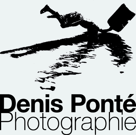 logo denis pont&eacute;